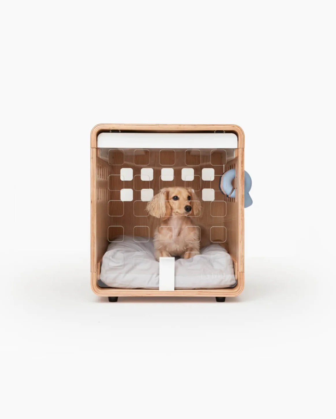 Smarter Gear for Safer Pets